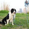 NTR Long Dog Leash - 50 FT Rope with Swivel