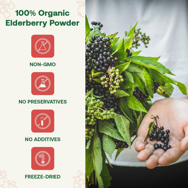 Quay Naturals Quay Naturals Organic Elderberry Juice Powder, Freeze-Dried, Non-GMO,