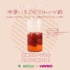 HARIO VSC-400-MZ Slim Canister 400, Practical Capacity, 13.5 fl oz