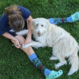 JanFeel Dog Nail Polish Pens, 15 Colors Pet Nail Polish Set Quick Dry Pet Safe Nail Polish Non Toxic Brush Tip Nail Polish Pens for Puppy and Cat or Small Pets