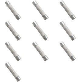 Bridgold 10pcs 10A Multimeter Fuse Quick Blow 6.3 * 32mm Brass Ceramic Fuse,600V for DMM. (10A)