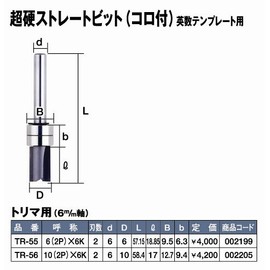 Super TR-55 Carbide Straight Bit (with Corridor) for English Numeric Templates 6 (2P) x 6