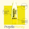 BioRLX Propolis and Honey Lip Balm - Natural Color-Free Moisturizing