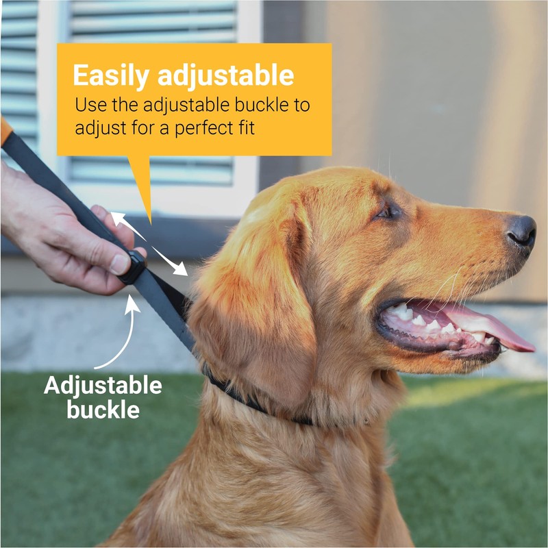 SVD.PET Dog Prong Collar for No-Pull Training, Quick-Release Buckle Adjustable