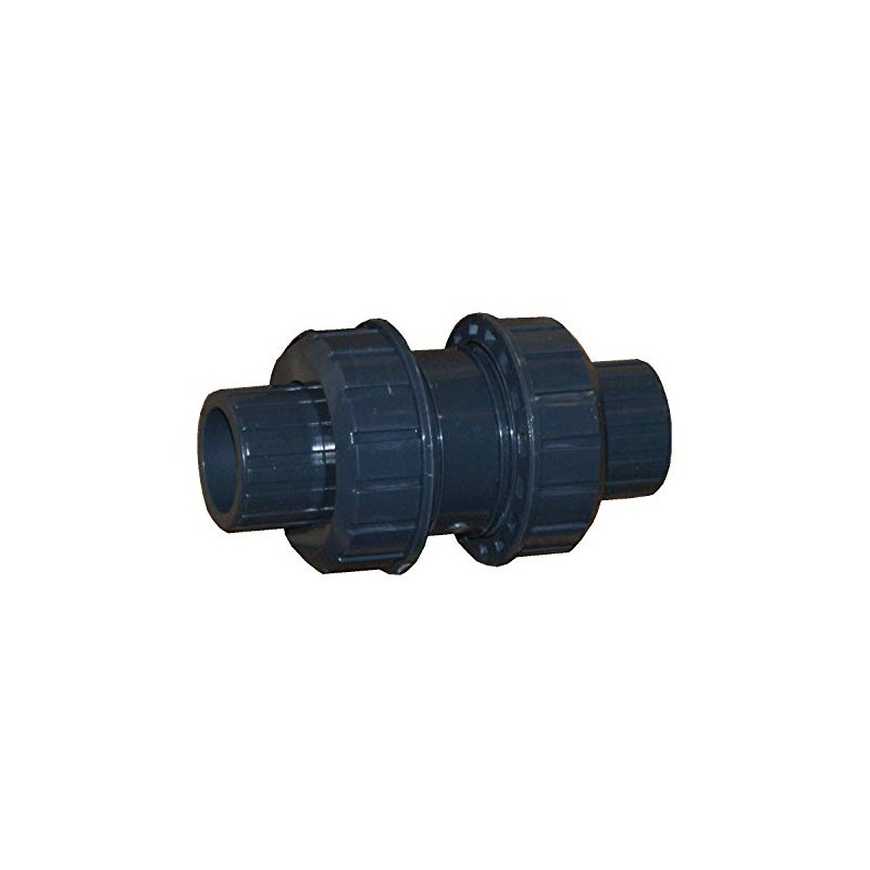 ERA Schedule 80 PVC 2 Inch True Union Ball Check
