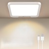 USB C Rechargeable Motion Sensor Ceiling Light 550LM with Remote,