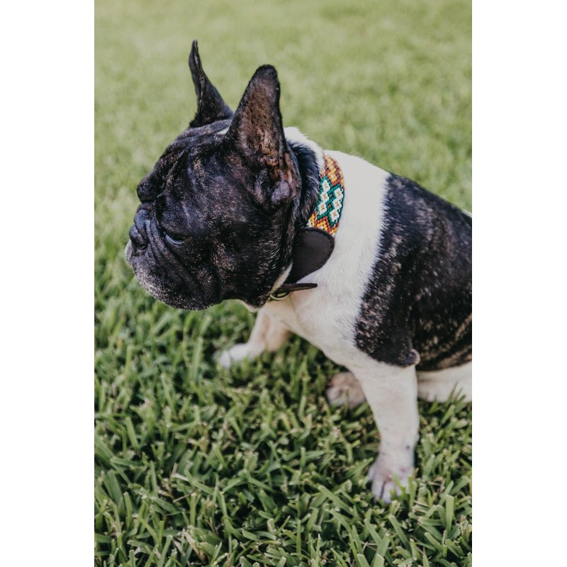 XUXO Collar para Perro, Piel Sintetica, Hecho a Mano, Resistente