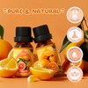 SALKING Citrus Burst Essential Oil Set, Premium Fragrance Oil for