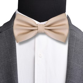 Branduce Mens Silk Champagne Bow Tie Pocket Square Set for Wedding Solid Plain Pre-tied Adjustable Tuxedo Bow tie and Handkerchief for Party (BB01-27)