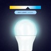 Maxim LED GLS Bayonet Cap (Daylight White) - 10watt (60watt)