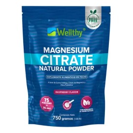 Wellthy Citrato De Magnesio En Polvo Sabor Raspberry 750g Sabor Rasberry