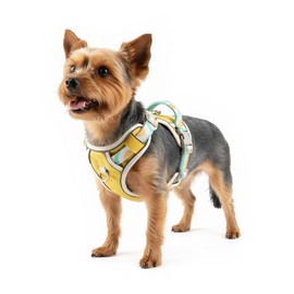 pangdi No-Pull Dog Harness with Back Clip | Escape-Proof Reflective Padded Vest | Adjustable Soft Mesh for Large, Medium, Small Dogs | for Walking, Running, Training, Yellow, XXS