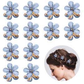 Pack of 12 Mini Hair Clips, Small Hair Clips, Flower Hair Clips for Women, Girls, Cute Mini Hair Spirals Clip, Small Hair Clip for Photo, Everyday, Party, Wedding (Blue)