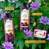 HERBAL ESSENCES Bio:Renew, Passion Flower & Rice Milk, Shampoo 400