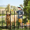 Thealyn Garden Fence 24" W x 24" H (10 Panels,