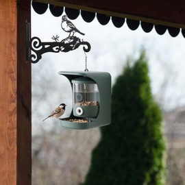 Ziwijity Set of 4 Metal Plant Hangers, Wall Plant Hangers, Sturdy Wall Hooks, Hanging Basket Hooks for Plants, Bird Feeders, Wind Chimes & Lanterns, Rustproof Hanging Brackets (Black, Pack of 4)