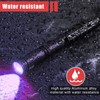 Honoson 6 Pieces UV Black Light Flashlight Small Blacklight Flashlights
