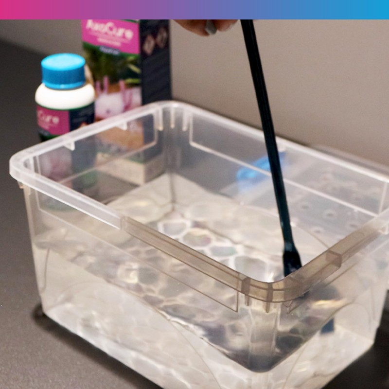 NT Labs AxoCure Treats Axolotls For External Parasitic Infections Including