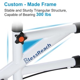 Economy Knee Scooter Steerable Knee Walker for Foot Injuries Compact Crutch Alternative with Dual Braking System (Red)