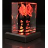 VIP-LASER 3D XL Glass Crystal Cuboid - Rose with Two