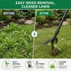 Weeding Head Replacement for Stand-Up Weed Pullers – Manual Claw