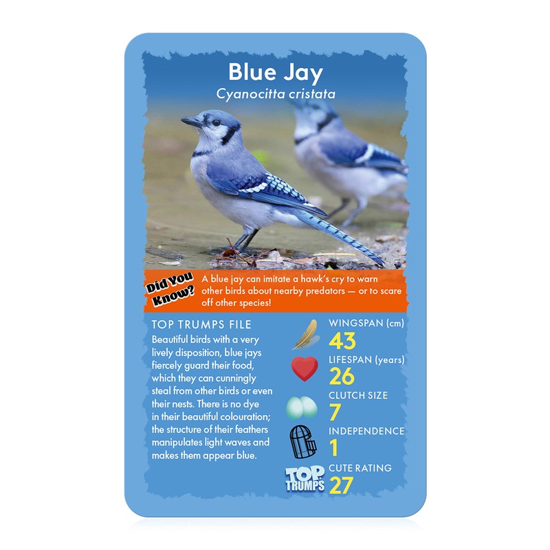 Birds Top Trumps Card Game