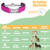 Prong Training Collar for Dogs, Adjustable Dog Pinch Collar with