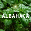 Jabón De Ruda Romero Albahaca Y Lavanda Limpieza Energética
