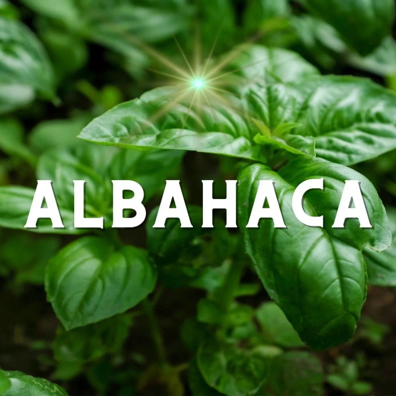 Jabón De Ruda Romero Albahaca Y Lavanda Limpieza Energética