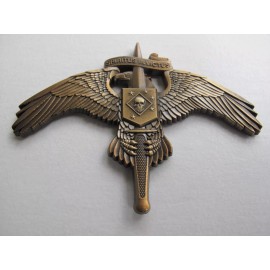 Raider SKULL on MarSoc Legacy Badge Pin US Marine Corps SOCOM Tactical Antiqued