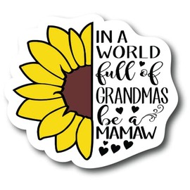 in A World Full of Grandmas Be Mamaw 4.0 inch Refrigerator Magnets – Funny Magnets for Fridge Dishwasher, Whiteboard, Toolbox or Car and Truck PM883