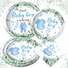 Greenery Baby Shower Plates Napkin Blue Baby Boy Party Tableware