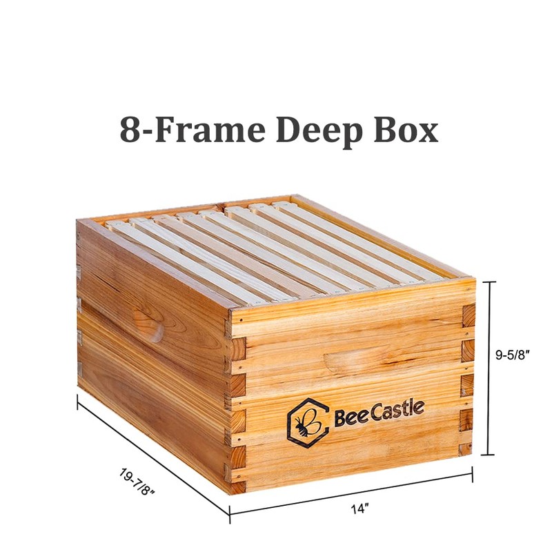 BeeCastle 8 Frame Langstroth Bee Hive Coated with Beeswax Includes