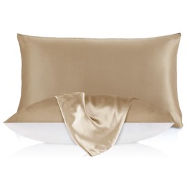LILYSILK Silk Pillowcase for Hair and Skin 19mm Silk Bed Pillow Case with Cotton Underside Queen 20X30 Inch Taupe 1pc