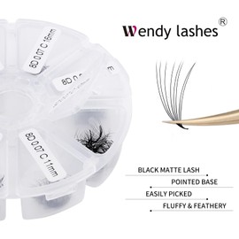 Premade Volume Fan for Eyelash Extension: 500 Handmade Fans, Loose Lash, Wend Lashes, SM-Black-500-8P-D-9-16mm-0207