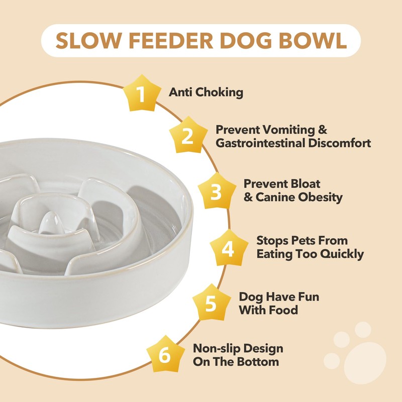Havniva Ceramic 1.2 Cup Raised Slow Feeder Dog Bowl Set,