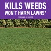 Roundup for Lawns₅ Concentrate for Use on Southern Grasses, Kills