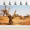 Riivvdise Reptile Tank Background Orange Desert Landscape Terrarium Background Dead