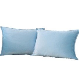 JIAHANNHA Velvet Light Blue Throw Pillow Covers 12x20 Inches Pack of 2 Soft Decorative Square Cushion for Couch Sofa Bed Livingroom Car,30x50Cm (YB)