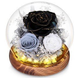 Dsuto Mother's Day Black Flower Gifts for Grandma - Forever Fresh Roses in Glass Globe, Preserved Flowers for Delivery Prime as Anniversary & Birthday Gift for Women, Mom, Wife, Daughter, Friends