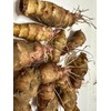 Springplant Jerusalem Artichoke Large Size (10) Tubers FOR PLANTING. white