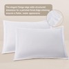 Colourful Snail 100-Percent Cotton Duvet Cover Set, Hidden Zipper Closure,