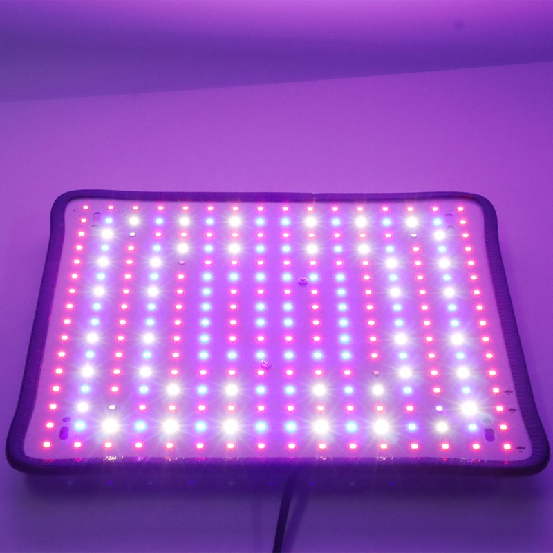 Plant Growing Lamp Scientific Control Low Heat LED Grow Light