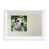 Kenko PS-MB-2L-WH Display Box, 6.6 gal (2 L), White Front