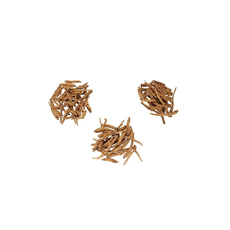 BambooMN Ginseng Root Large 3 Year Old American Grown Cultivated