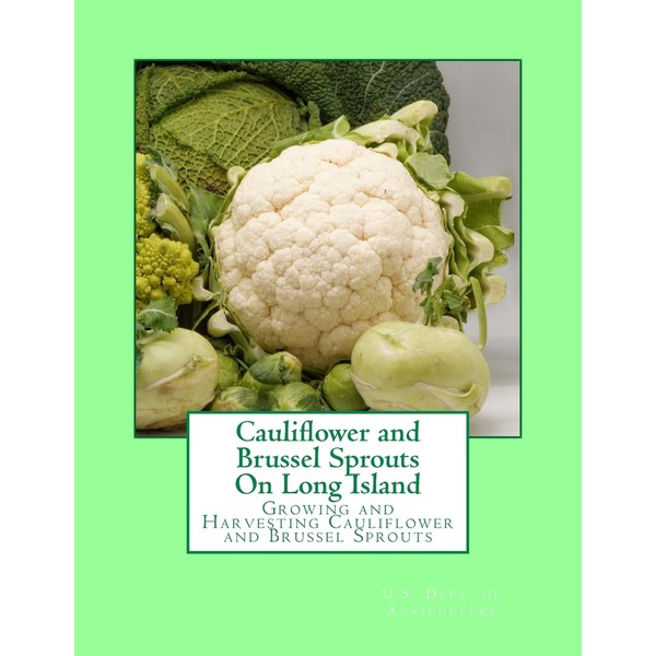 Cauliflower and Brussel Sprouts On Long Island: Growing and Harvesting
