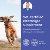 Dog Electrolytes and Joint Supplement | Glucosamine, Chondroitin & MSM