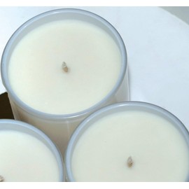 Ergo Soy Candle Pearl Collection, Artisan Hand-Poured Scented Candle Natural Vegan Soy Wax - Luxuriously Scented Kiwi 12 Ounce Candle