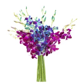 KaBloom Flowers - Mother's Day Collection - Midnight in the Tropics Bouquet of Blue and Purple Orchids from Thailand Without Vase - Gift for Birthday, Thank You,Valentine,Mother’s Day Fresh Flowers