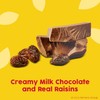 Nestle Raisinets 3.1 Ounce Theater Box